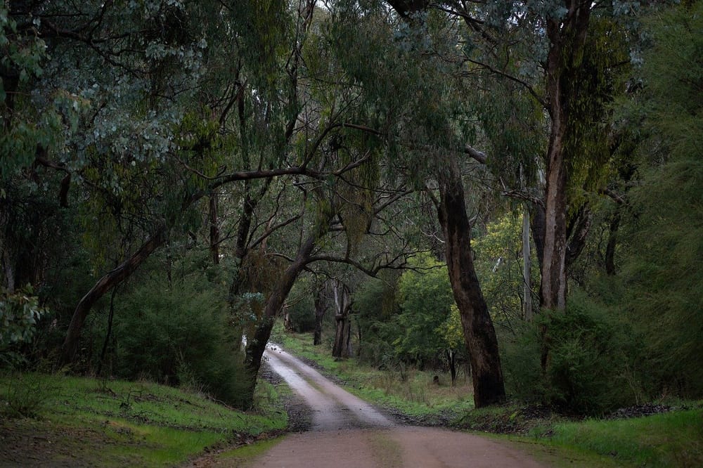 Imagine Northern Rivers Image